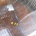 Cargo Holds Washing of 73000 DWT Bulk Carrier in Turkey